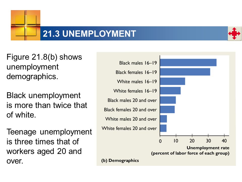 21.3 UNEMPLOYMENT Figure 21.8(b) shows unemployment demographics.