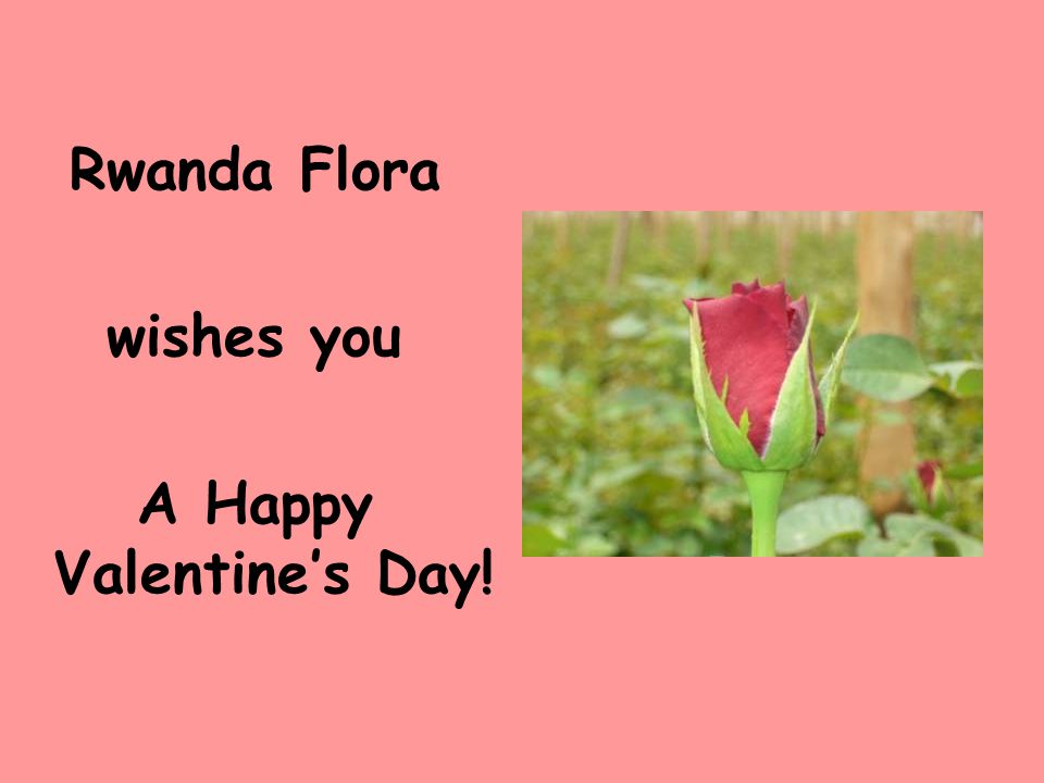 Rwanda Flora wishes you A Happy Valentine’s Day!