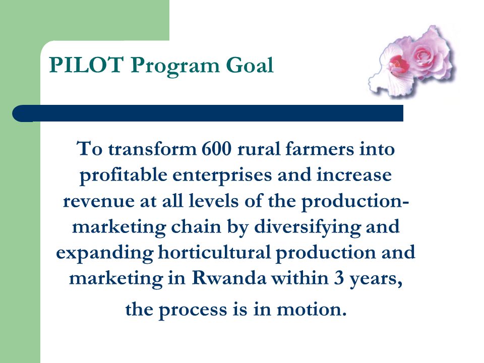 PILOT Program Goal To transform 600 rural farmers into profitable enterprises and increase revenue at all levels of the production- marketing chain by diversifying and expanding horticultural production and marketing in Rwanda within 3 years, the process is in motion.