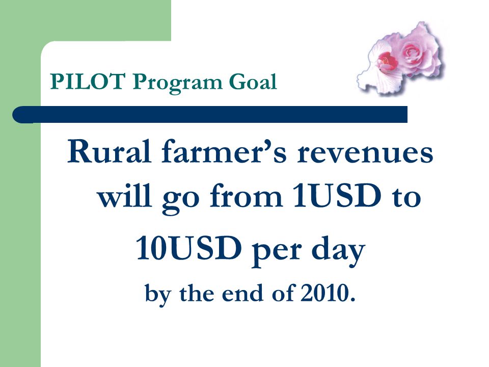 PILOT Program Goal Rural farmer’s revenues will go from 1USD to 10USD per day by the end of 2010.