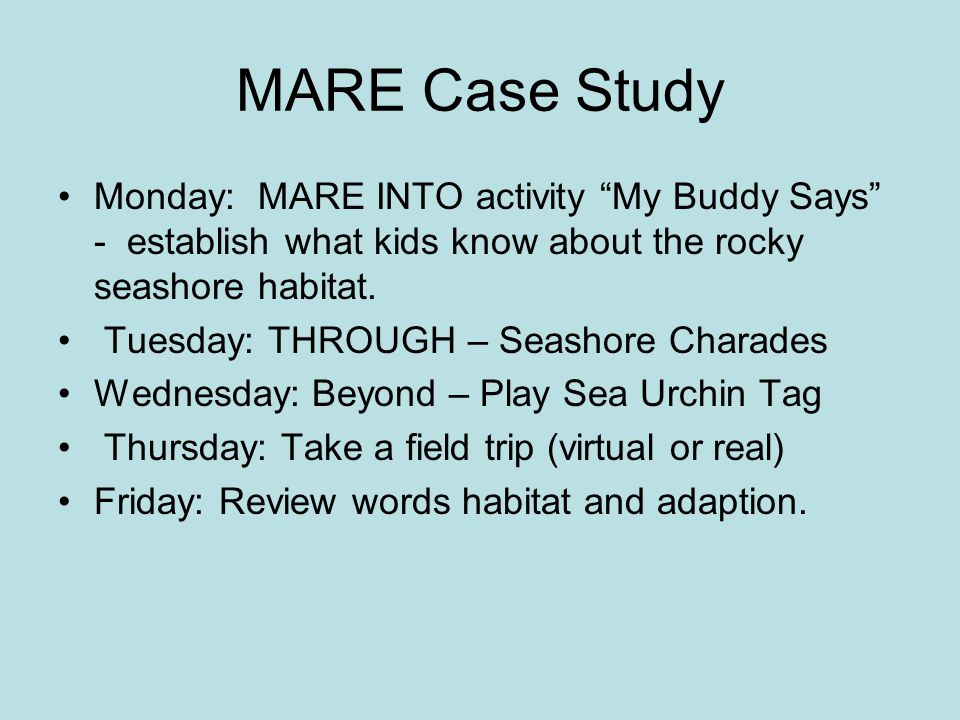 MARE Case Study Monday: MARE INTO activity My Buddy Says - establish what kids know about the rocky seashore habitat.