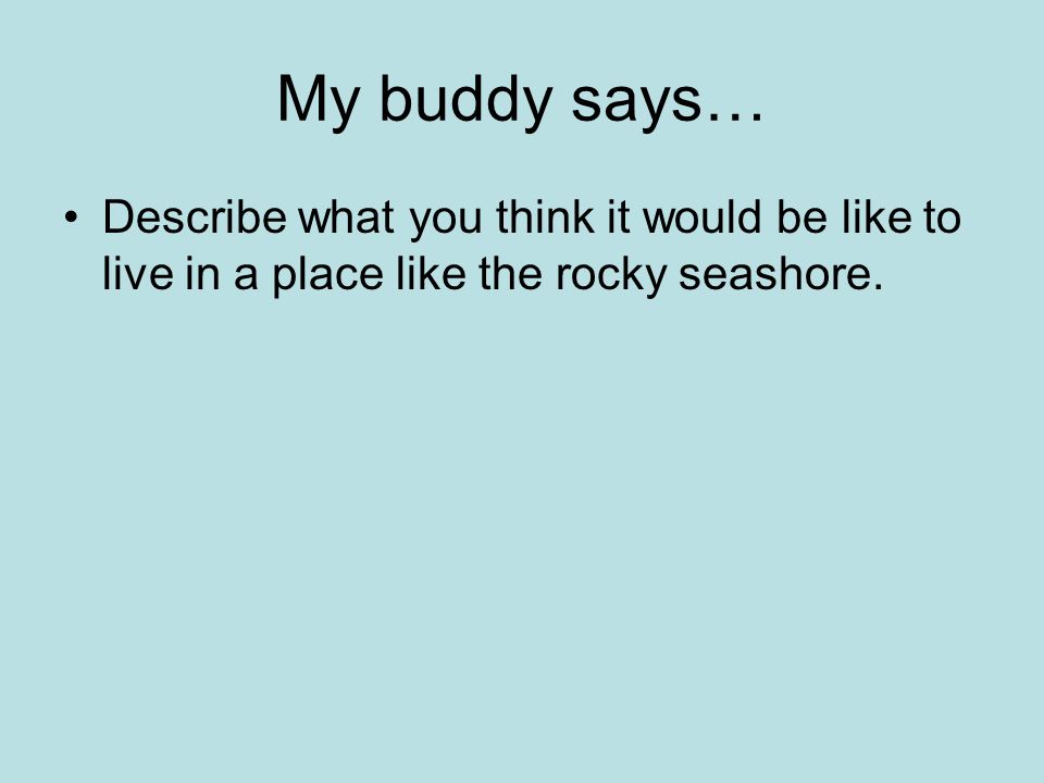 My buddy says… Describe what you think it would be like to live in a place like the rocky seashore.