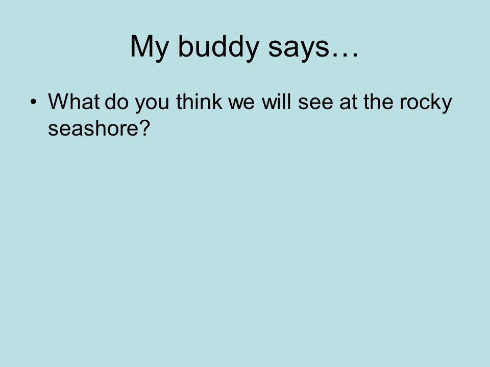 My buddy says… What do you think we will see at the rocky seashore