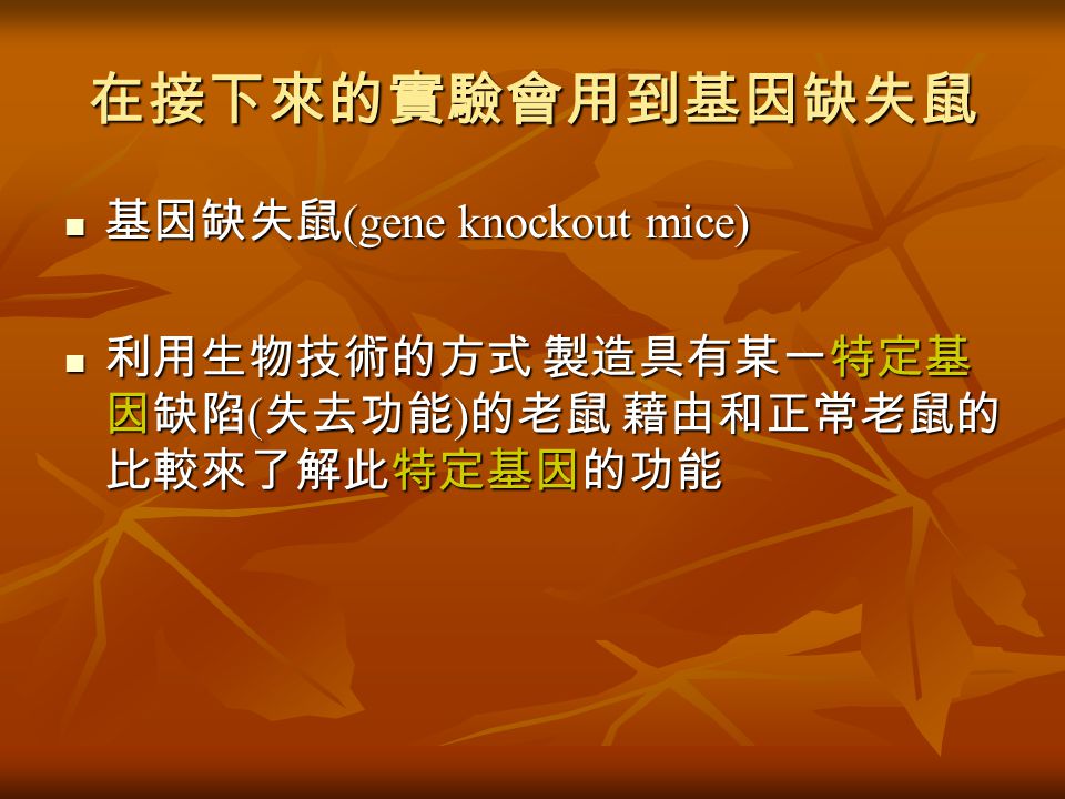 在接下來的實驗會用到基因缺失鼠 基因缺失鼠 (gene knockout mice) 基因缺失鼠 (gene knockout mice) 利用生物技術的方式 製造具有某一特定基 因缺陷 ( 失去功能 ) 的老鼠 藉由和正常老鼠的 比較來了解此特定基因的功能 利用生物技術的方式 製造具有某一特定基 因缺陷 ( 失去功能 ) 的老鼠 藉由和正常老鼠的 比較來了解此特定基因的功能