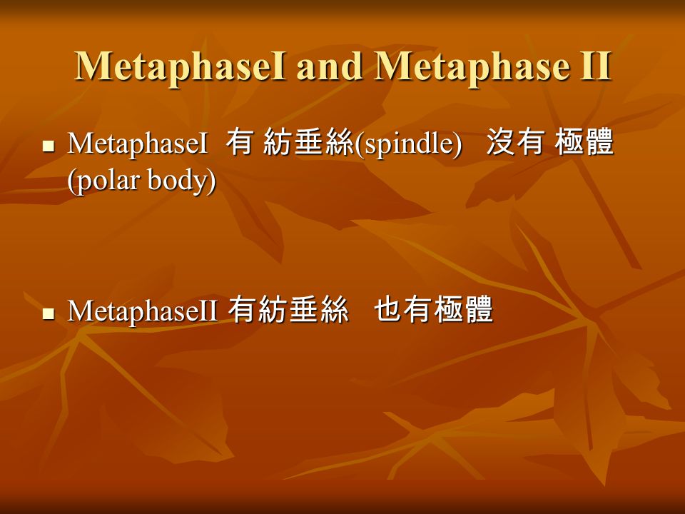 MetaphaseІ and Metaphase ІІ MetaphaseІ 有 紡垂絲 (spindle) 沒有 極體 (polar body) MetaphaseІ 有 紡垂絲 (spindle) 沒有 極體 (polar body) MetaphaseІІ 有紡垂絲 也有極體 MetaphaseІІ 有紡垂絲 也有極體