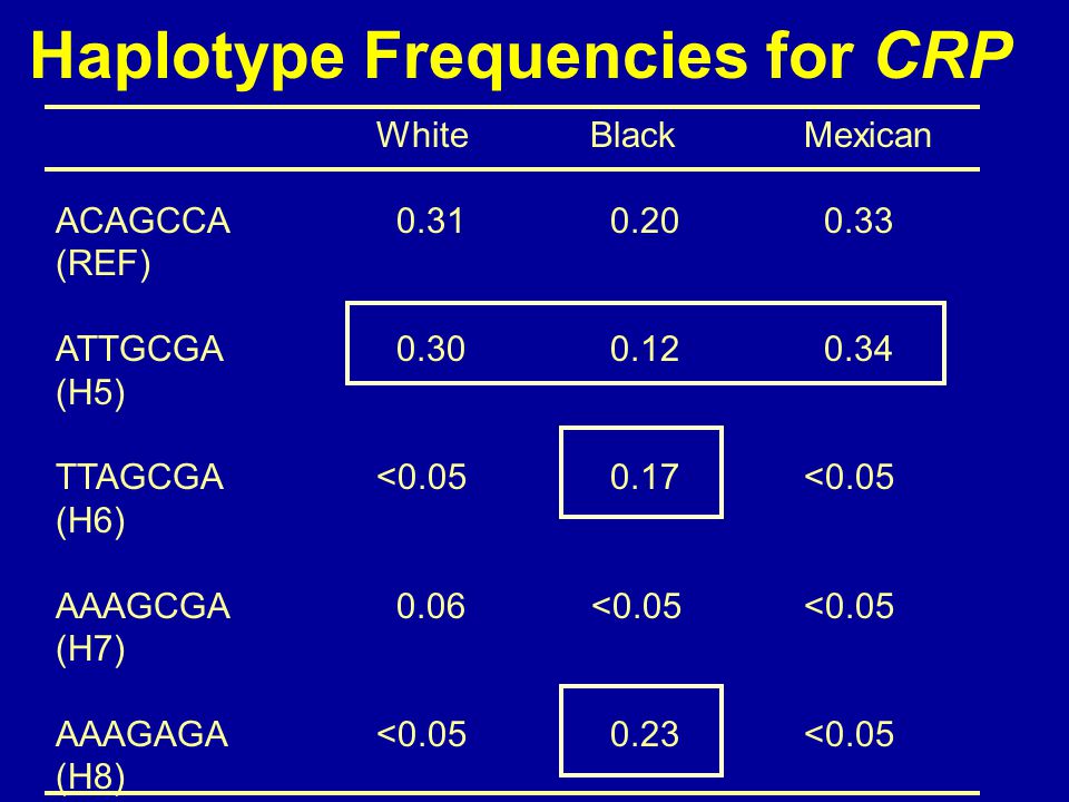 Haplotype Frequencies for CRP WhiteBlackMexican ACAGCCA (REF) ATTGCGA (H5) TTAGCGA< <0.05 (H6) AAAGCGA 0.06 <0.05<0.05 (H7) AAAGAGA< <0.05 (H8)