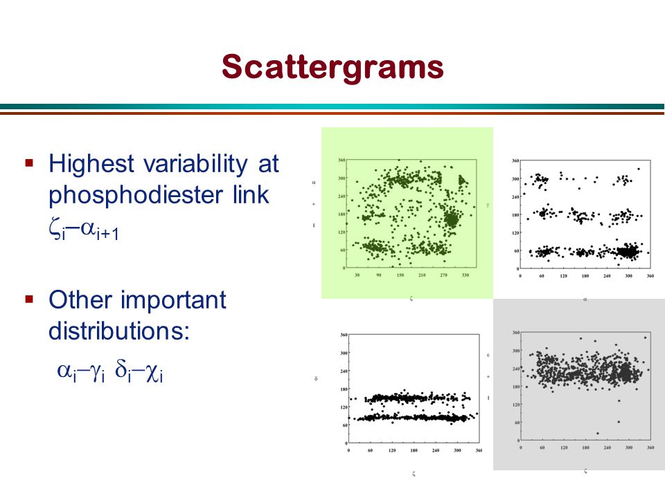 Scattergrams  Highest variability at phosphodiester link  i –  i+1  Other important distributions:  i  i  i  i