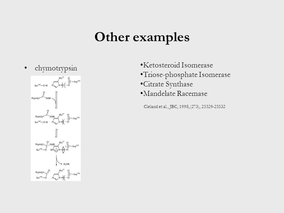 Other examples chymotrypsin Ketosteroid Isomerase Triose-phosphate Isomerase Citrate Synthase Mandelate Racemase Cleland et al., JBC, 1998,(273),
