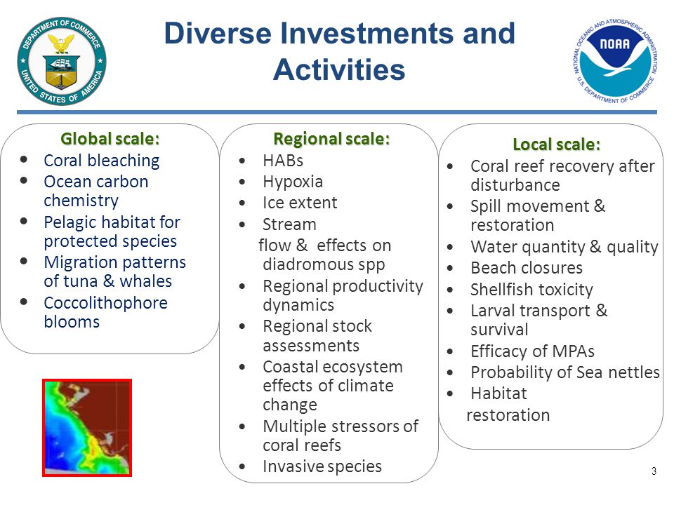 3 Global scale: Coral bleaching Ocean carbon chemistry Pelagic habitat for protected species Migration patterns of tuna & whales Coccolithophore blooms Diverse Investments and Activities Local scale: Coral reef recovery after disturbance Spill movement & restoration Water quantity & quality Beach closures Shellfish toxicity Larval transport & survival Efficacy of MPAs Probability of Sea nettles Habitat restoration Regional scale: HABs Hypoxia Ice extent Stream flow & effects on diadromous spp Regional productivity dynamics Regional stock assessments Coastal ecosystem effects of climate change Multiple stressors of coral reefs Invasive species