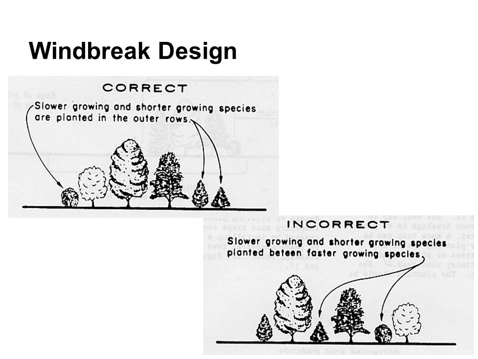 Main features: