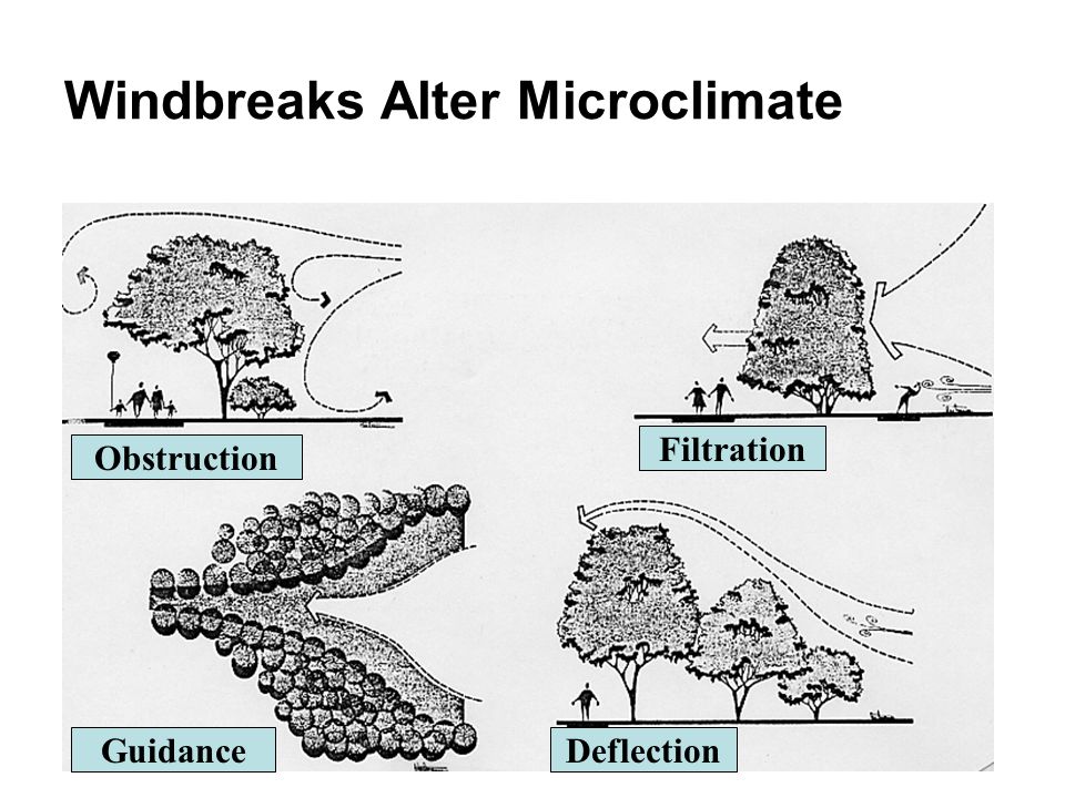 Windbreak Technology