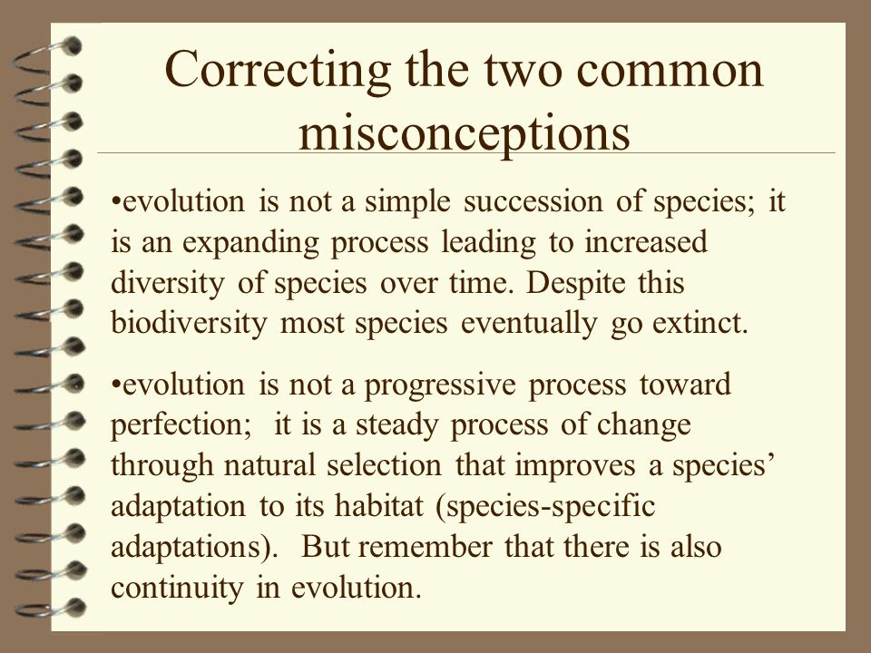 Correcting some common misrepresentations of evolution in