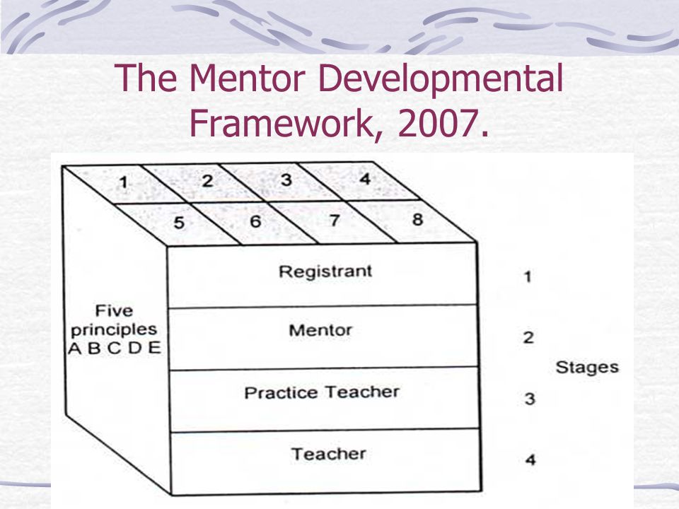 The Mentor Developmental Framework, 2007.