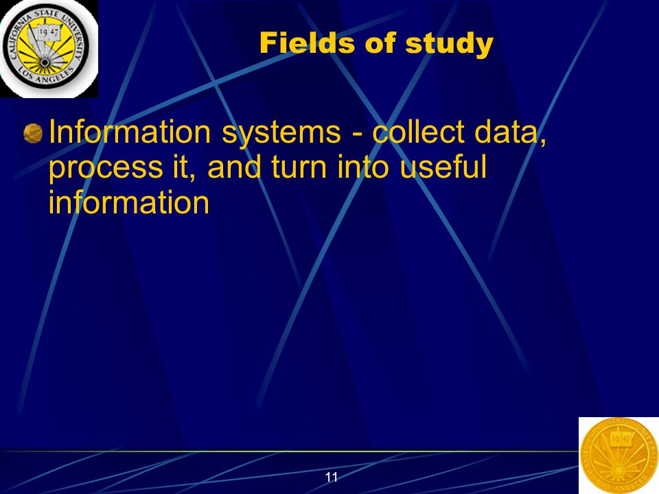 11 Fields of study Information systems - collect data, process it, and turn into useful information