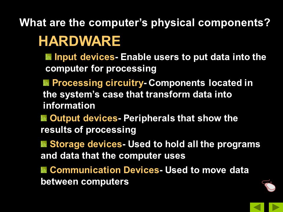 What are the computer’s physical components.