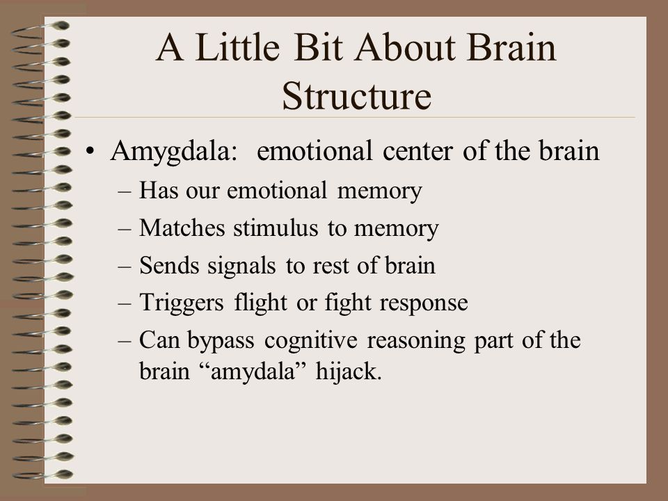 A Little Bit About Brain Structure Amygdala: emotional center of the brain –Has our emotional memory –Matches stimulus to memory –Sends signals to rest of brain –Triggers flight or fight response –Can bypass cognitive reasoning part of the brain amydala hijack.