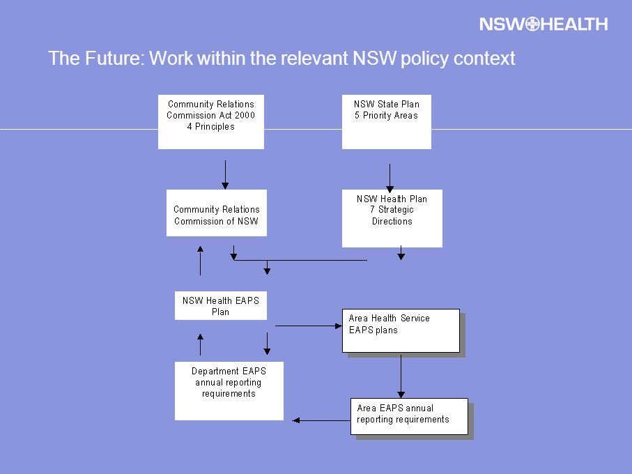 The Future: Work within the relevant NSW policy context