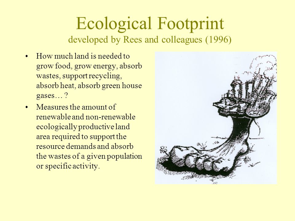 Ecological Footprint developed by Rees and colleagues (1996) How much land is needed to grow food, grow energy, absorb wastes, support recycling, absorb heat, absorb green house gases… .