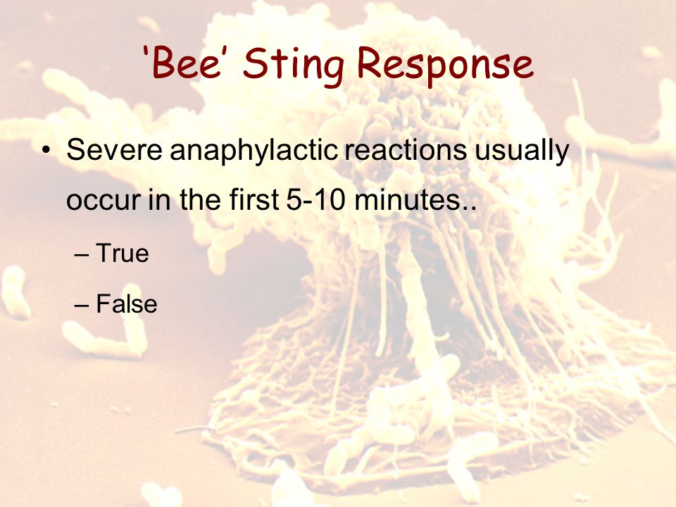 ‘Bee’ Sting Response Severe anaphylactic reactions usually occur in the first 5-10 minutes..