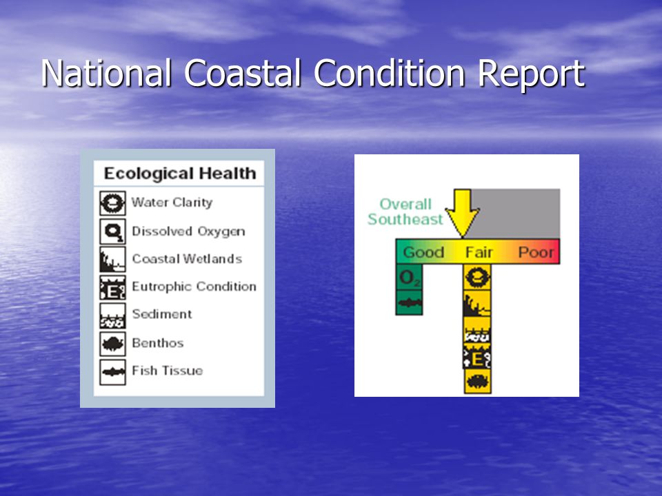 National Coastal Condition Report