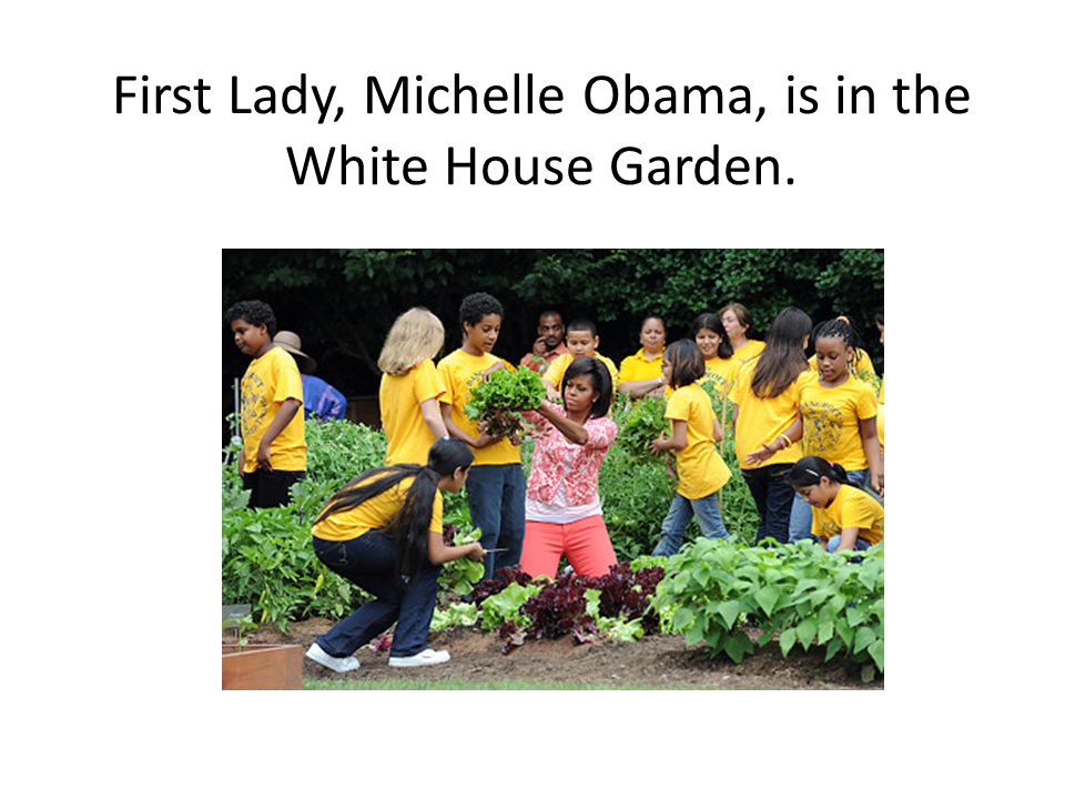First Lady, Michelle Obama, is in the White House Garden.
