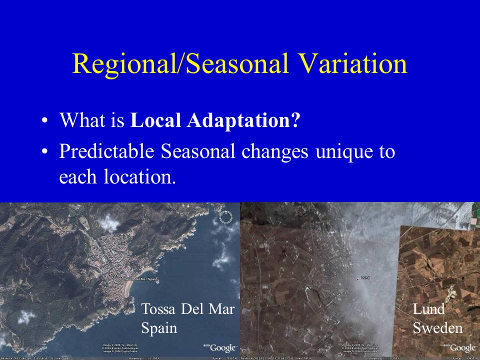 Regional/Seasonal Variation What is Local Adaptation.
