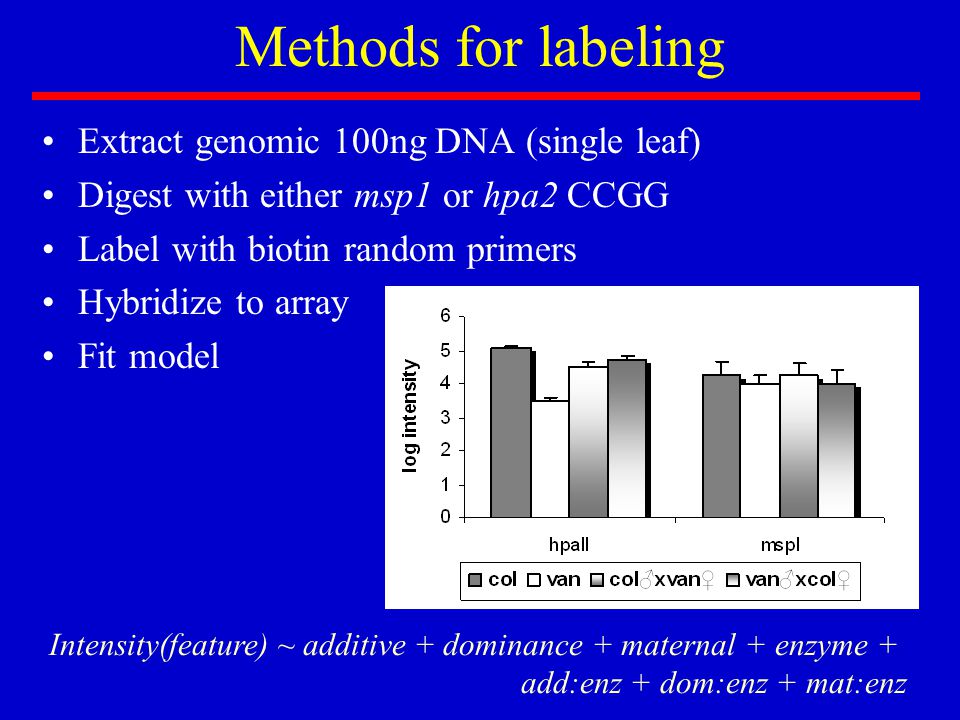 Methods for labeling Extract genomic 100ng DNA (single leaf) Digest with either msp1 or hpa2 CCGG Label with biotin random primers Hybridize to array Fit model Intensity(feature) ~ additive + dominance + maternal + enzyme + add:enz + dom:enz + mat:enz
