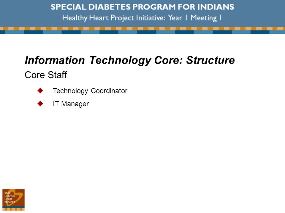 Information Technology Core: Structure Core Staff  Technology Coordinator  IT Manager