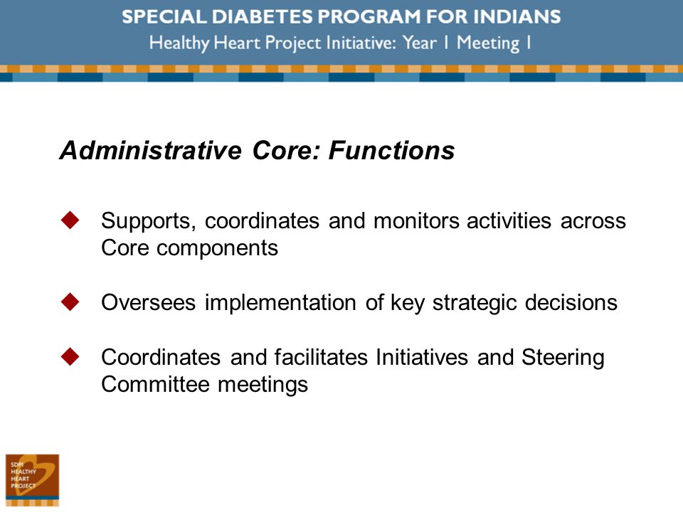 Administrative Core: Functions  Supports, coordinates and monitors activities across Core components  Oversees implementation of key strategic decisions  Coordinates and facilitates Initiatives and Steering Committee meetings