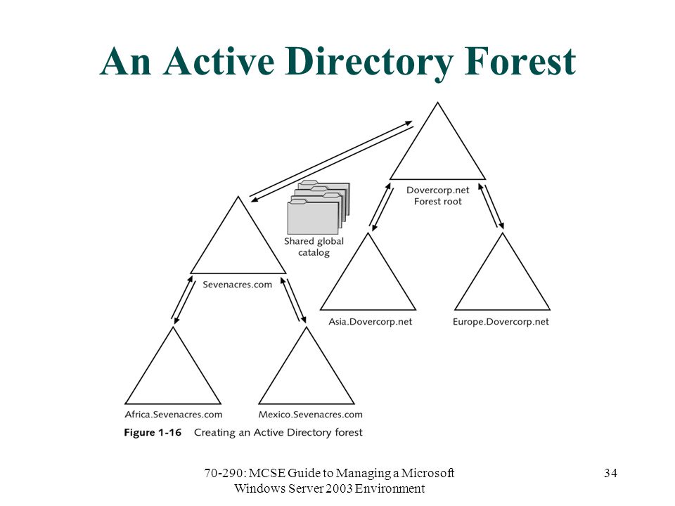 70-290: MCSE Guide to Managing a Microsoft Windows Server 2003 Environment 34 An Active Directory Forest