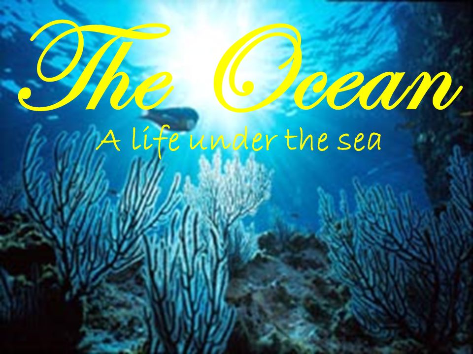 the ocean a life