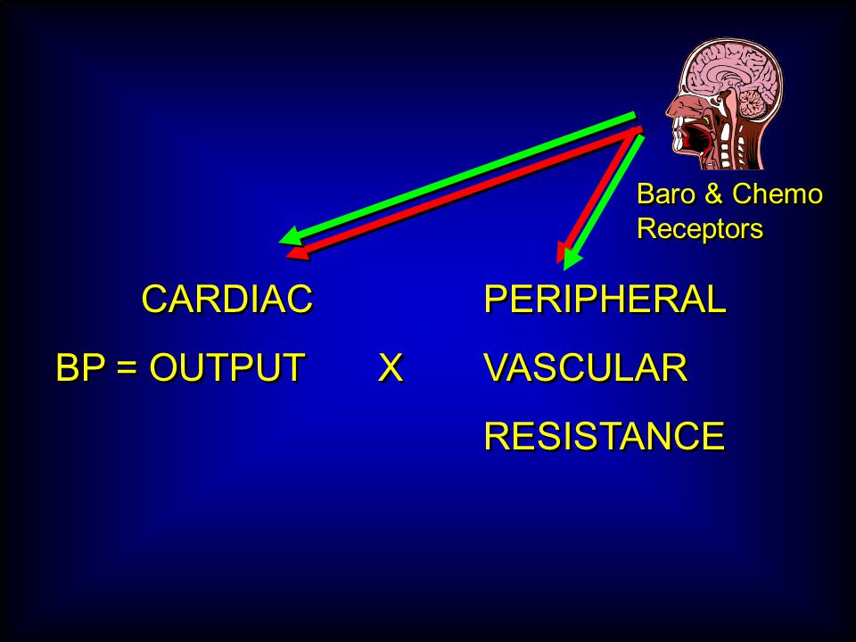 Baro & Chemo Receptors CARDIAC PERIPHERAL BP = OUTPUT XVASCULAR RESISTANCE CARDIAC PERIPHERAL BP = OUTPUT XVASCULAR RESISTANCE