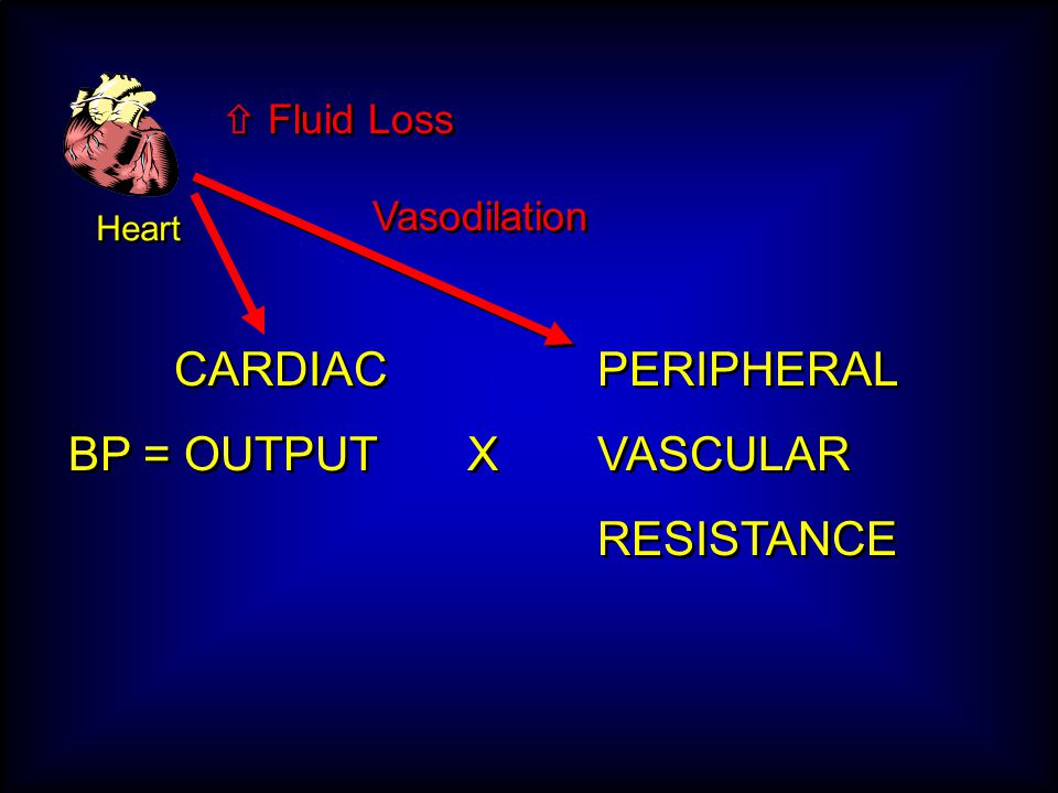 Heart CARDIAC PERIPHERAL BP = OUTPUT XVASCULAR RESISTANCE CARDIAC PERIPHERAL BP = OUTPUT XVASCULAR RESISTANCE  Fluid Loss Vasodilation