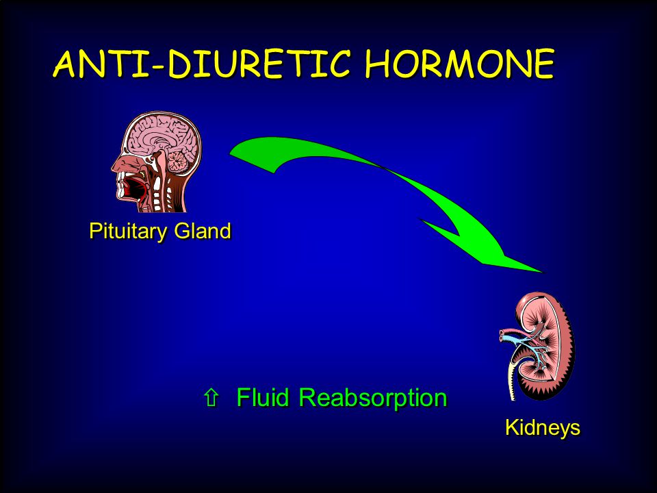 ANTI-DIURETIC HORMONE Kidneys Pituitary Gland  Fluid Reabsorption