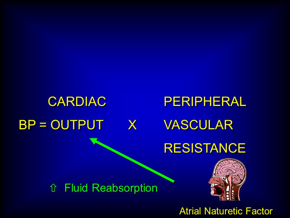 Atrial Naturetic Factor CARDIAC PERIPHERAL BP = OUTPUT XVASCULAR RESISTANCE CARDIAC PERIPHERAL BP = OUTPUT XVASCULAR RESISTANCE  Fluid Reabsorption