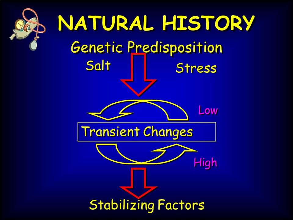 NATURAL HISTORY Genetic Predisposition Salt Stress Transient Changes Low High Stabilizing Factors