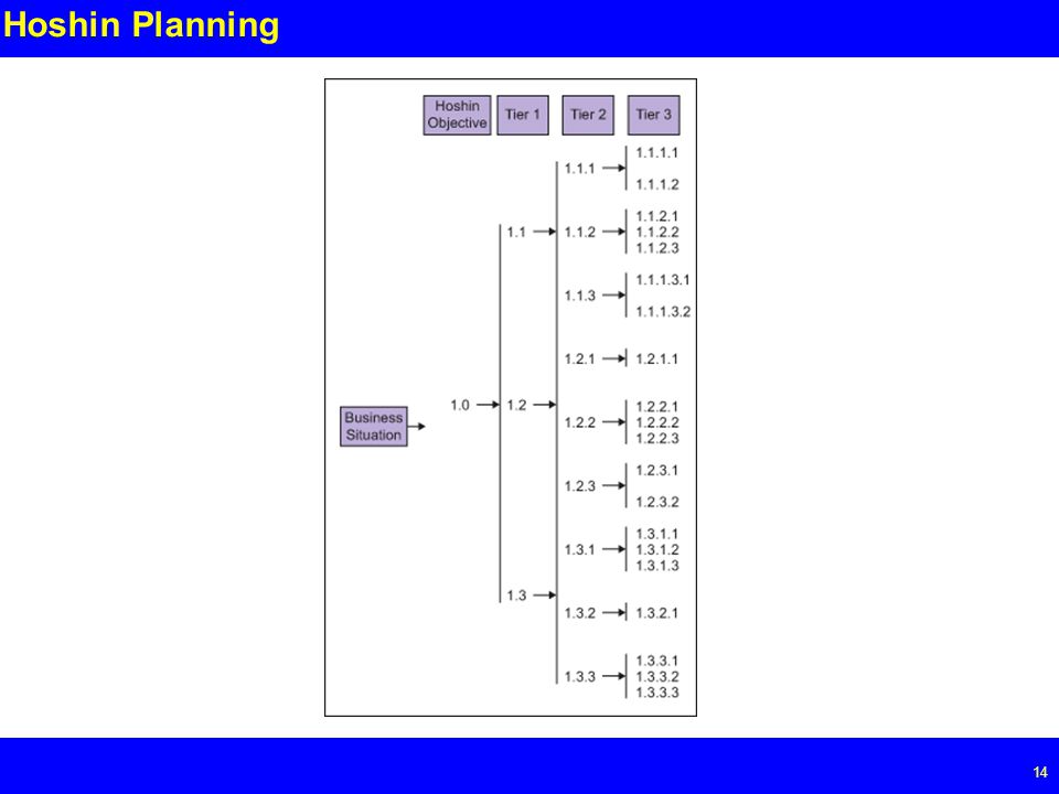 Page Hoshin Planning