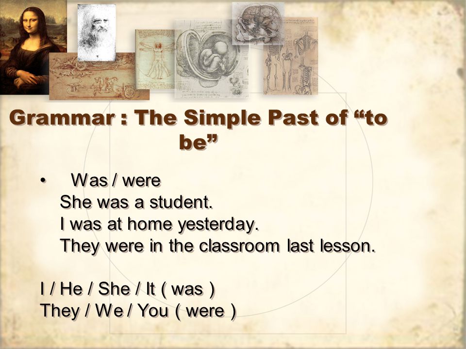 Grammar : The Simple Past of to be Was / were She was a student.