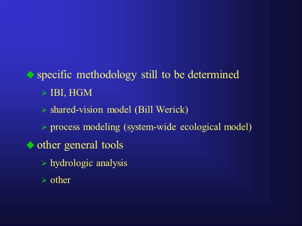  specific methodology still to be determined  IBI, HGM  shared-vision model (Bill Werick)  process modeling (system-wide ecological model)  other general tools  hydrologic analysis  other
