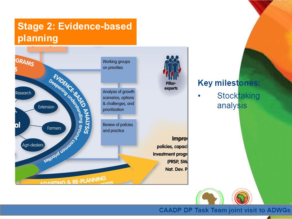 CAADP DP Task Team joint visit to ADWGs Stage 2: Evidence-based planning Key milestones: Stocktaking analysis