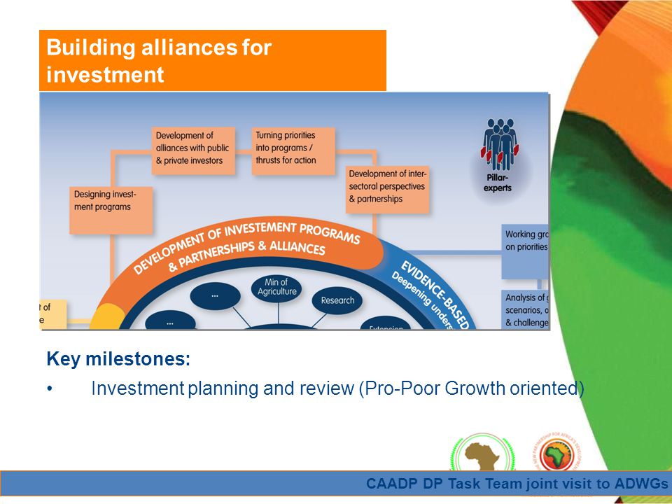 CAADP DP Task Team joint visit to ADWGs Building alliances for investment Key milestones: Investment planning and review (Pro-Poor Growth oriented)