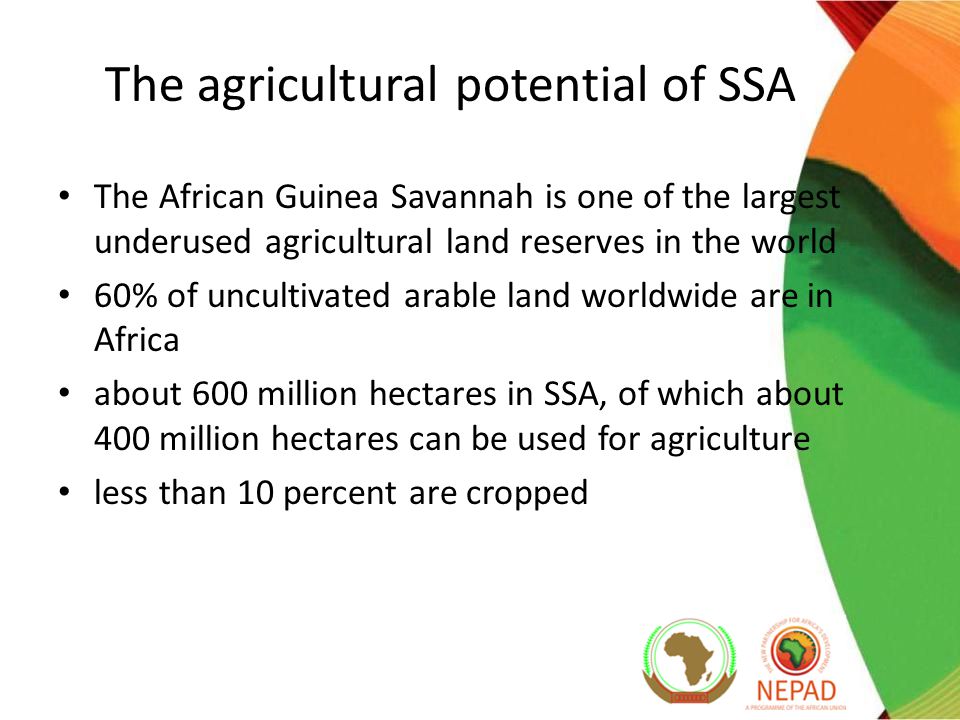 The agricultural potential of SSA The African Guinea Savannah is one of the largest underused agricultural land reserves in the world 60% of uncultivated arable land worldwide are in Africa about 600 million hectares in SSA, of which about 400 million hectares can be used for agriculture less than 10 percent are cropped
