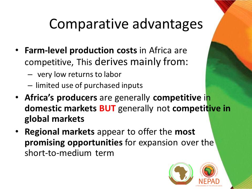 Comparative advantages Farm-level production costs in Africa are competitive, This derives mainly from: – very low returns to labor – limited use of purchased inputs Africa’s producers are generally competitive in domestic markets BUT generally not competitive in global markets Regional markets appear to offer the most promising opportunities for expansion over the short-to-medium term
