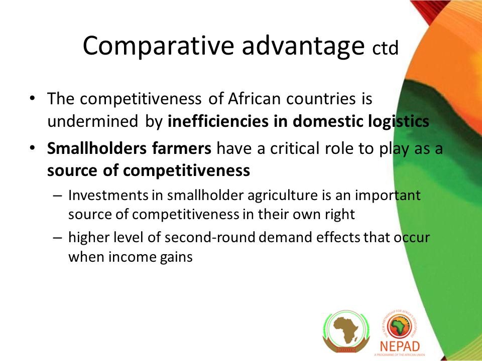 The competitiveness of African countries is undermined by inefficiencies in domestic logistics Smallholders farmers have a critical role to play as a source of competitiveness – Investments in smallholder agriculture is an important source of competitiveness in their own right – higher level of second-round demand effects that occur when income gains Comparative advantage ctd