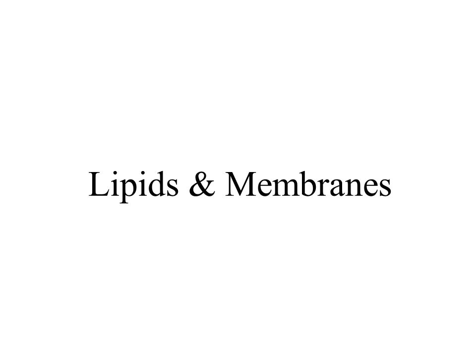 Lipids & Membranes