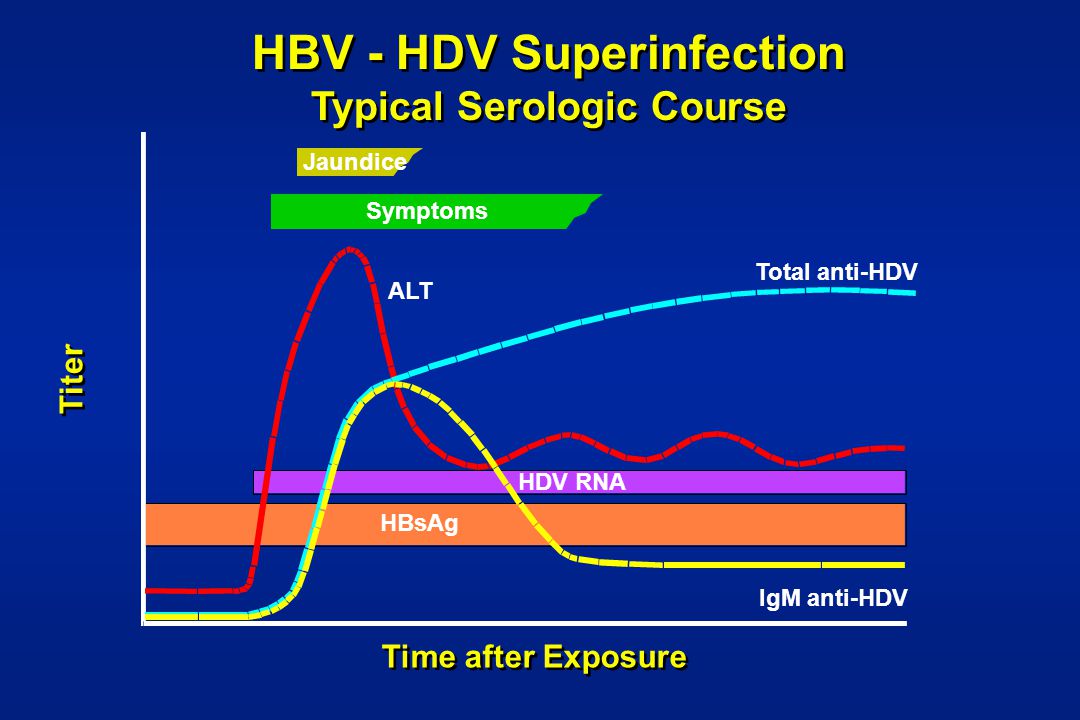 Anti hcv total что это значит. Hdv superinfection. Анти Hdv IGM. Anti HBSAG total. РНК Hdv.