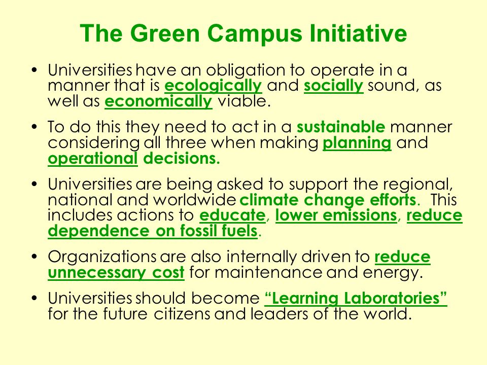 Green Campus – How It Helps Students to Attain Mental and Physical Health -  odmps blog