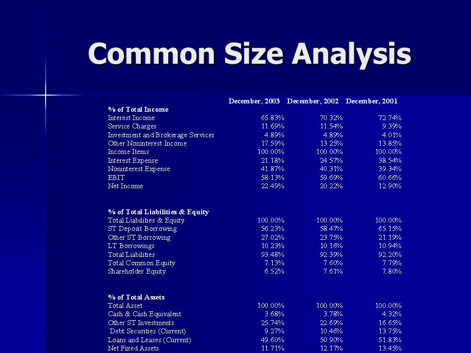 Common Size Analysis