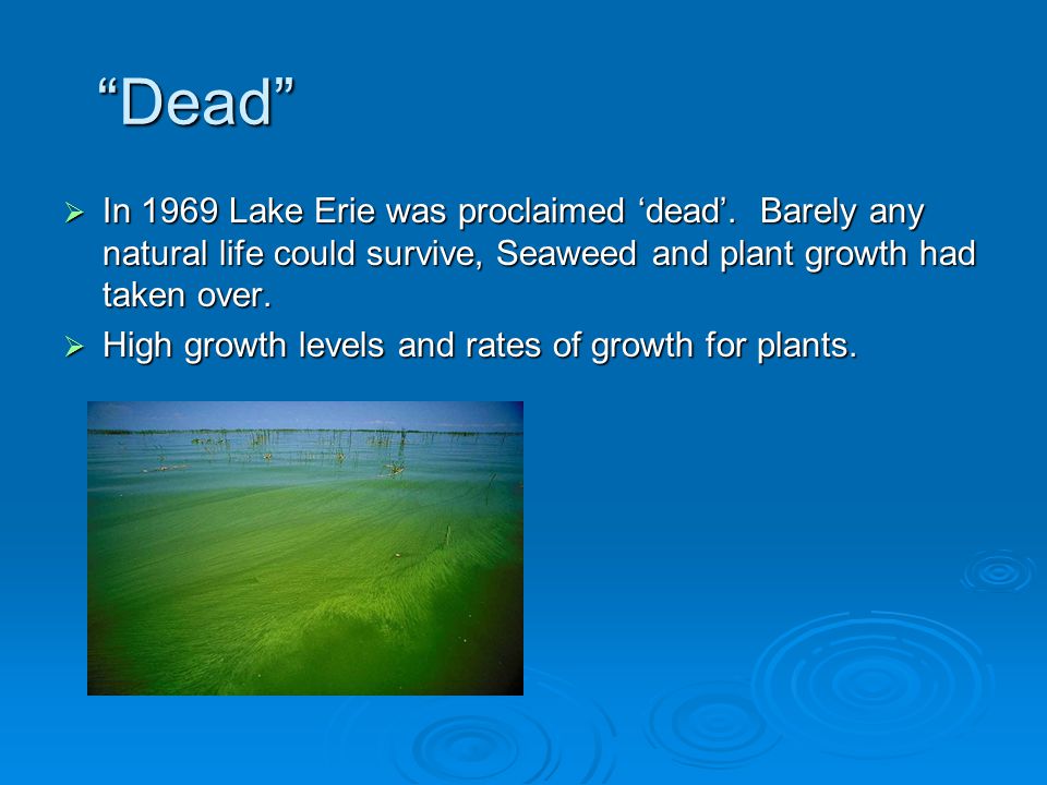 Dead  In 1969 Lake Erie was proclaimed ‘dead’.