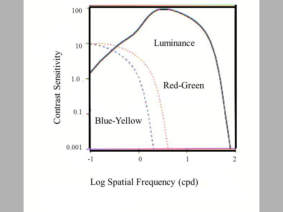 Log Spatial Frequency (cpd) Contrast Sensitivity Luminance Red-Green Blue-Yellow